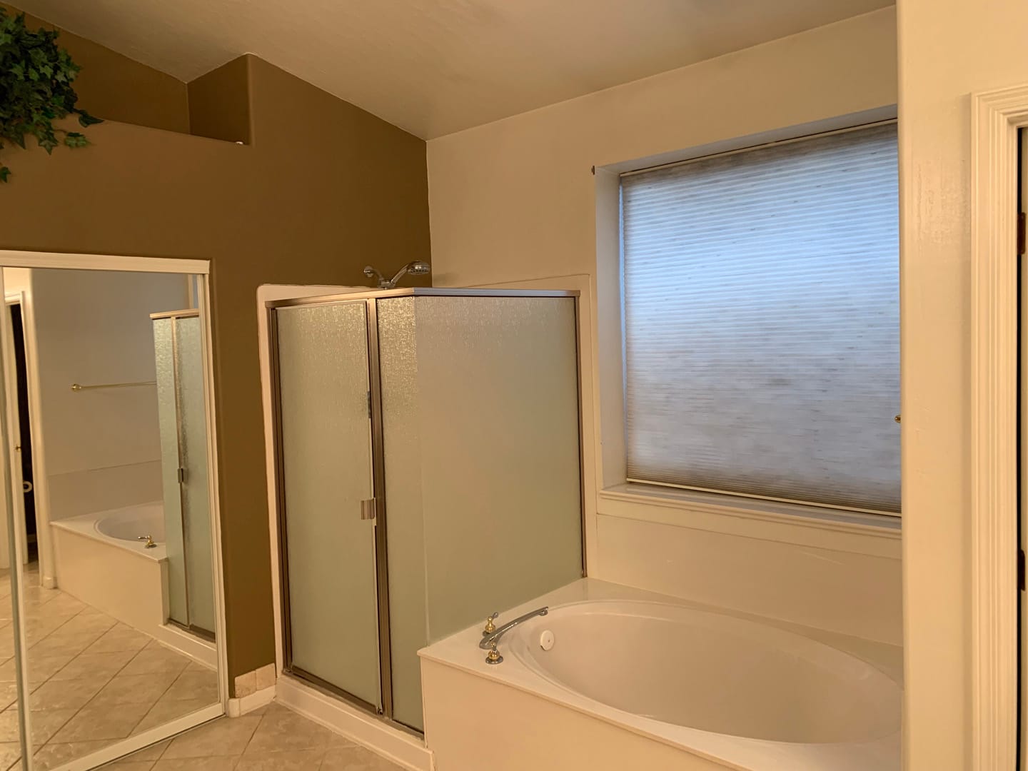 Kitchen, Fireplace & Master Bath Retreat in Surprise, AZ, Master Bath, before photo 6