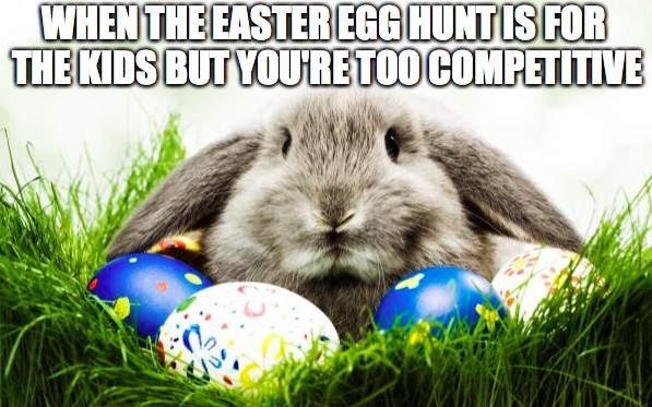 bunny - Hoppy Easter!